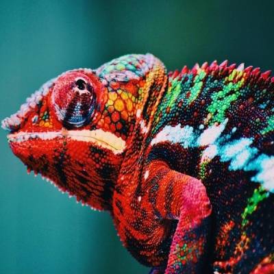 Is your business environment changing?